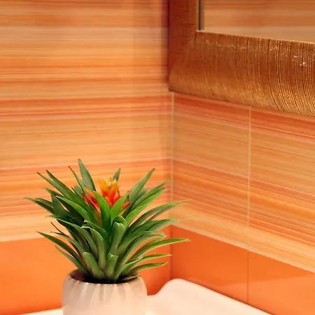 Serena Srl Hotell Rom