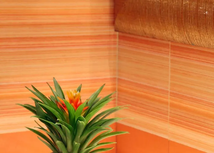 Serena Srl Szálloda Róma